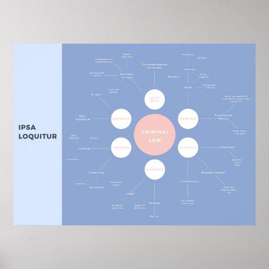 Strafrechtelijke basisbegrippen Herziening Poster (Voorkant)