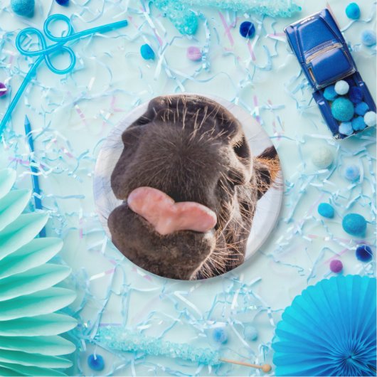 Straight from the Horse's mouth Funny Photography Papieren Bordje (Feest)