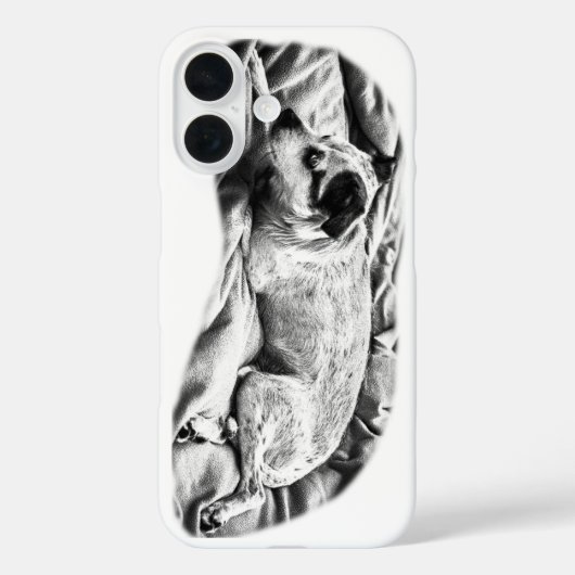 Strakke Terrier Studie, Winter Chic Case-Mate iPhone Case (Achterkant)