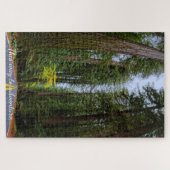 Strakke weg door het Misty Redwood bos Legpuzzel (Horizontaal)