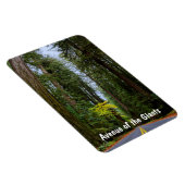 Strakke weg door het Misty Redwood bos Magneet (Rechterzijde)