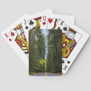 Strakke weg door het Misty Redwood bos Pokerkaarten