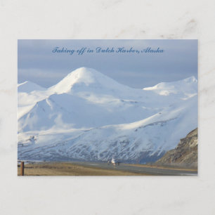 Straks in de Nederlandse haven, Alaska Briefkaart