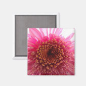 stralen magneet (Voorkant / Achterkant)