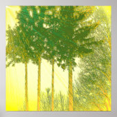 Stralen van hoop 3 Bomenprint Poster (Voorkant)