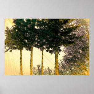 Stralen van hoop poster