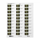 Stralend Etiket (Full Sheet)