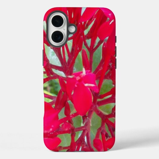 Stralend Leven | Mooie Bloedbloem Zijdeplant Kunst Case-Mate iPhone Case (Achterkant)