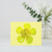 Stralende Buttercup Bloem - transparant. Kaart (Staand voorkant)