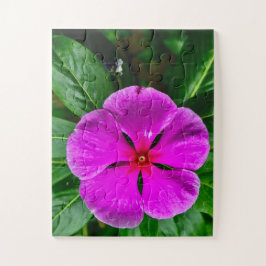 Stralende Geheugenbloei | Magenta Vinca Botanisch Legpuzzel