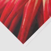 Stralende Gele & Rode Bloem, Nabij-opname van Bloe Tissuepapier (Detail)
