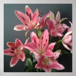 Stralende Genade:  Roze lelies in bloei Poster