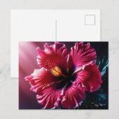 Stralende Hibiscus in bloei Briefkaart (Voorkant / Achterkant)