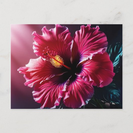 Stralende Hibiscus in bloei Briefkaart (Voorkant)
