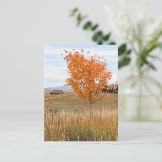 Stralende oktober briefkaart (Staand voorkant)