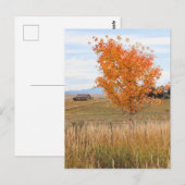Stralende oktober briefkaart (Voorkant / Achterkant)