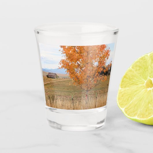 Stralende oktober  shot glas (Voorkant)