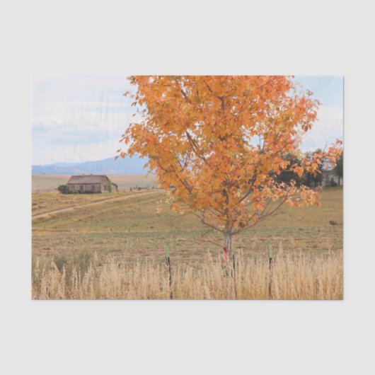 Stralende oktober tissuepapier (Voorkant)