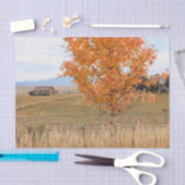 Stralende oktober tissuepapier (Craft)