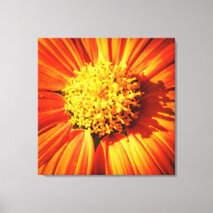 Stralende Oranje Bloem Macro Muurkunst Foto Afdruk Canvas Afdruk