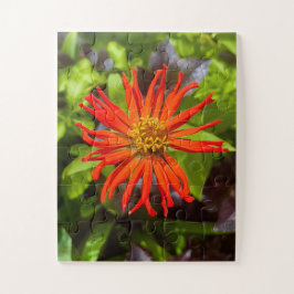 Stralende oranje Zinnia | Bloemenaanbod voor Alzhe Legpuzzel