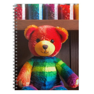 Stralende Regenboog Teddybeer Notitieboek