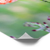 Stralende Rode Klaproos Poster (Hoek)