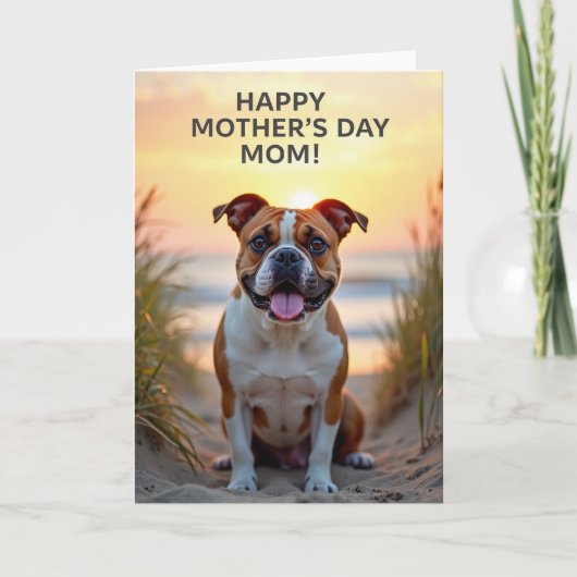 Stralende Sunset Hond Kaart (Voorkant)