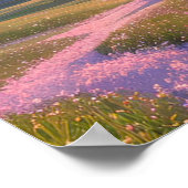 Stralende Sunset Serenade Poster (Hoek)