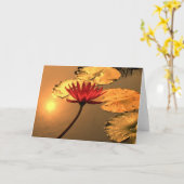 Stralende Waterlelie met Spirituele Boodschap Kaart (Gele Bloem)