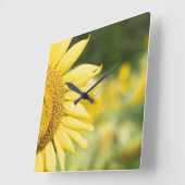 Stralende zonnebloem vierkante klok (Hoek)