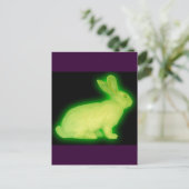 STRALINGSRABBIT BRIEFKAART (Staand voorkant)