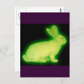 STRALINGSRABBIT BRIEFKAART (Voorkant / Achterkant)