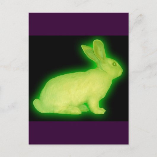 STRALINGSRABBIT BRIEFKAART (Voorkant)