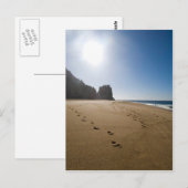 strand 3 Cabo San Lucas Briefkaart (Voorkant / Achterkant)