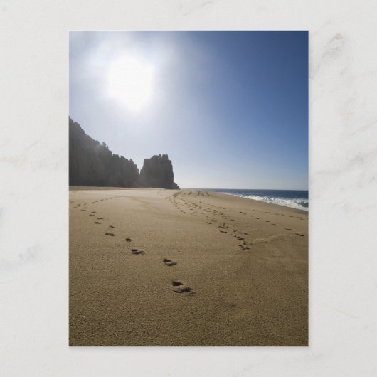 strand 3 Cabo San Lucas Briefkaart (Voorkant)