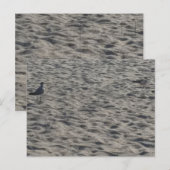 Strand Ansichtkaart Briefkaart (Voorkant / Achterkant)