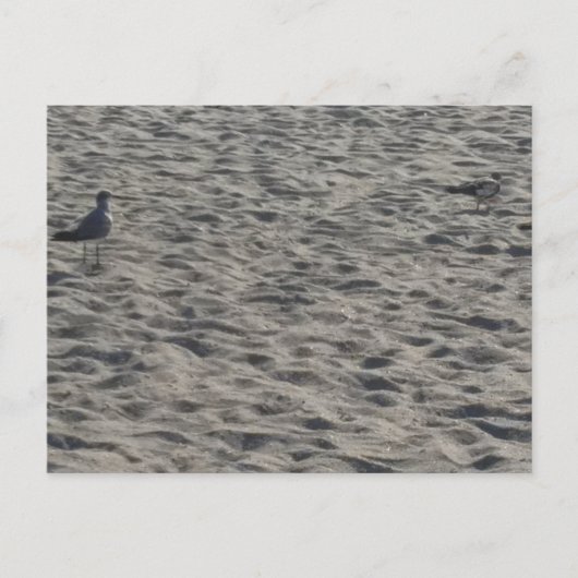 Strand Ansichtkaart Briefkaart (Voorkant)