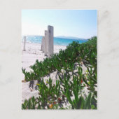 Strand bei Alghero Sardinien - Postkarte Briefkaart (Voorkant)