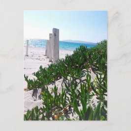 Strand bei Alghero Sardinien - Postkarte Briefkaart