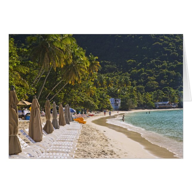 Strand bij Cane Garden Bay, eiland Tortola (Voorkant Horizontaal)