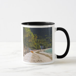 Strand bij Cane Garden Bay, eiland Tortola Mok