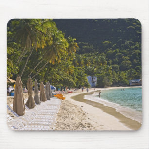 Strand bij Cane Garden Bay, eiland Tortola Muismat