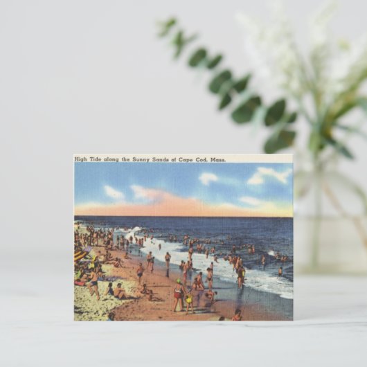 strand bij Cape Cod Briefkaart (Staand voorkant)