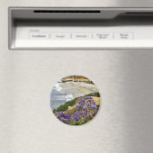 Strand bij La Jolla Cove Magneet (Insitu (Vaatwasser))