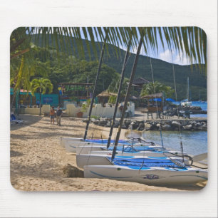 Strand bij Leverick Bay Resort & Marina, Muismat