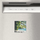 Strand bij Manuel Antonio Magneet (Insitu (Vaatwasser))