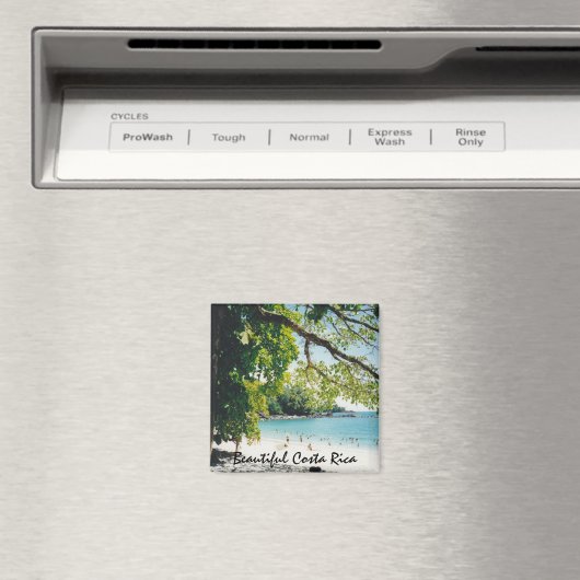 Strand bij Manuel Antonio Magneet (Insitu (Vaatwasser))