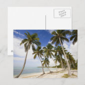 Strand bij Punta Cana Briefkaart (Voorkant / Achterkant)