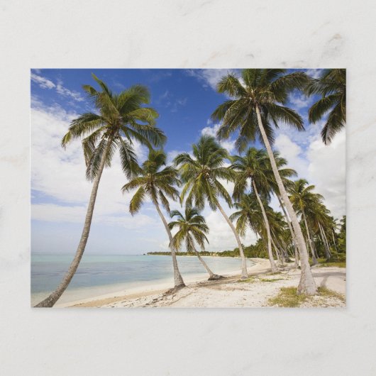 Strand bij Punta Cana Briefkaart (Voorkant)